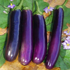 баклажан длинный фиолетовый